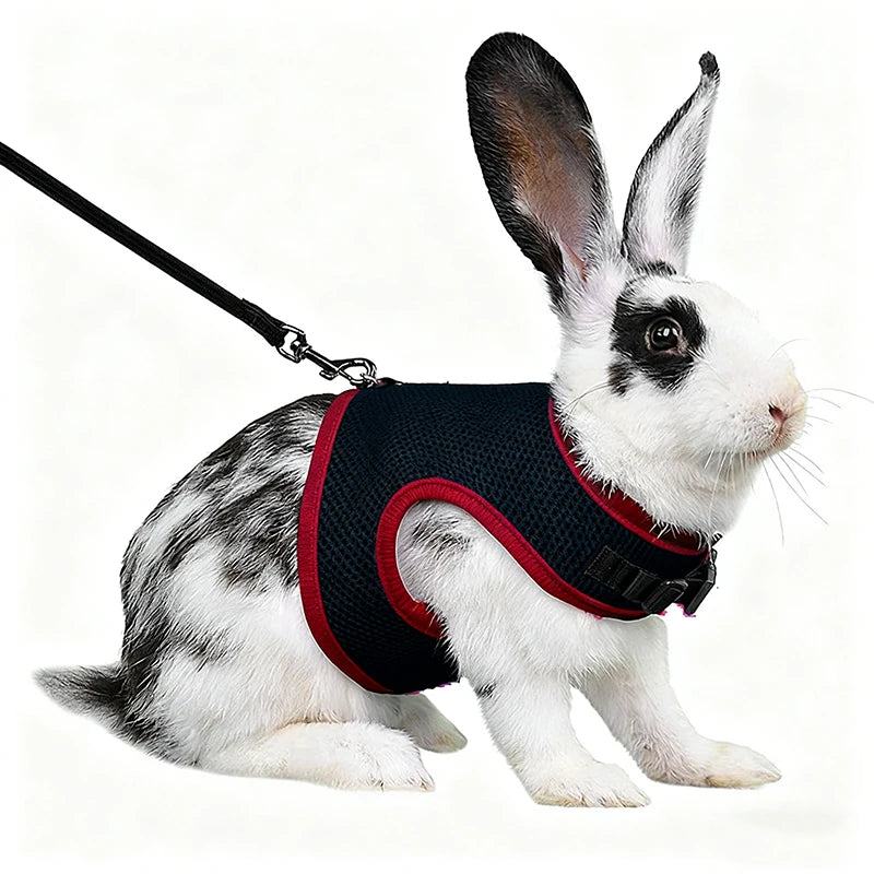 Summer, Guinea Pig, Hamster, Ferret, Rabbit, Leash Breathable Mesh, Accessories