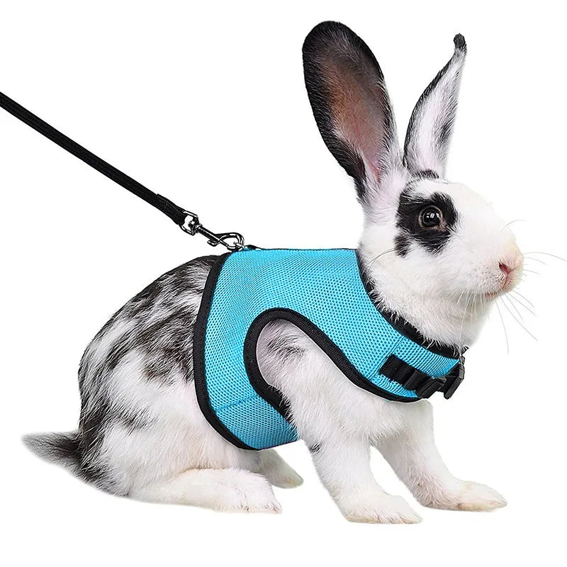 Summer, Guinea Pig, Hamster, Ferret, Rabbit, Leash Breathable Mesh, Accessories