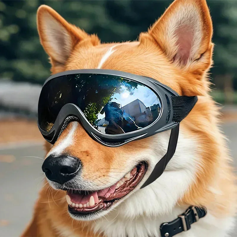 Pet Goggles Adjustable, Anti UV Glare, Windproof for Dogs.  Outdoor Hiking, Running, Beach.   All Breeds Eye Protection