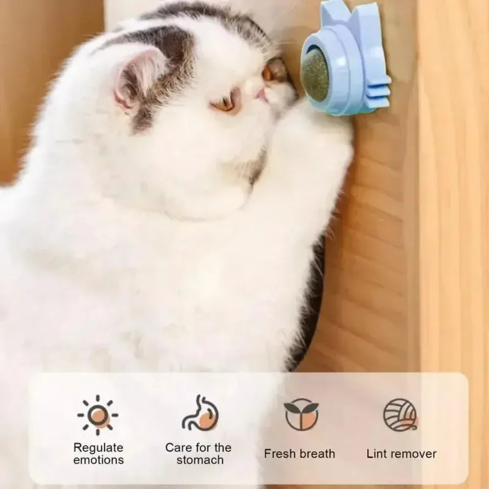 Lickable Catnip Toy, Teeth Cleaning, Chew Toy with Natural Catnip for Kittens & Cats, Sticks to Wall & Window