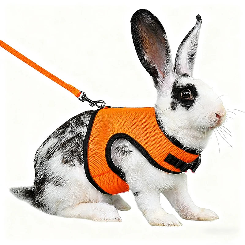 Summer, Guinea Pig, Hamster, Ferret, Rabbit, Leash Breathable Mesh, Accessories