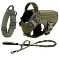 Large Dog Harness and Leash Set, Training Walking Vest Dog Harness and Collar for Medium/Large Dogs