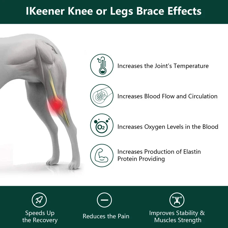 Handheld Laser Therapy for Dogs, Laser Diode, Red Light Therapy for Pain Relief & Wound Healing & Joint/Muscle Stiffness