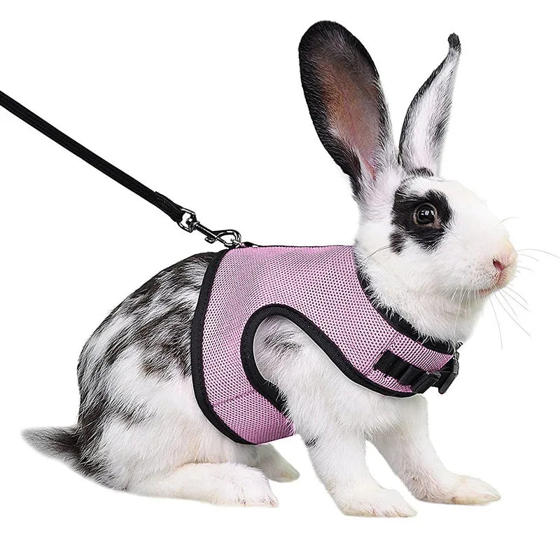 Summer, Guinea Pig, Hamster, Ferret, Rabbit, Leash Breathable Mesh, Accessories