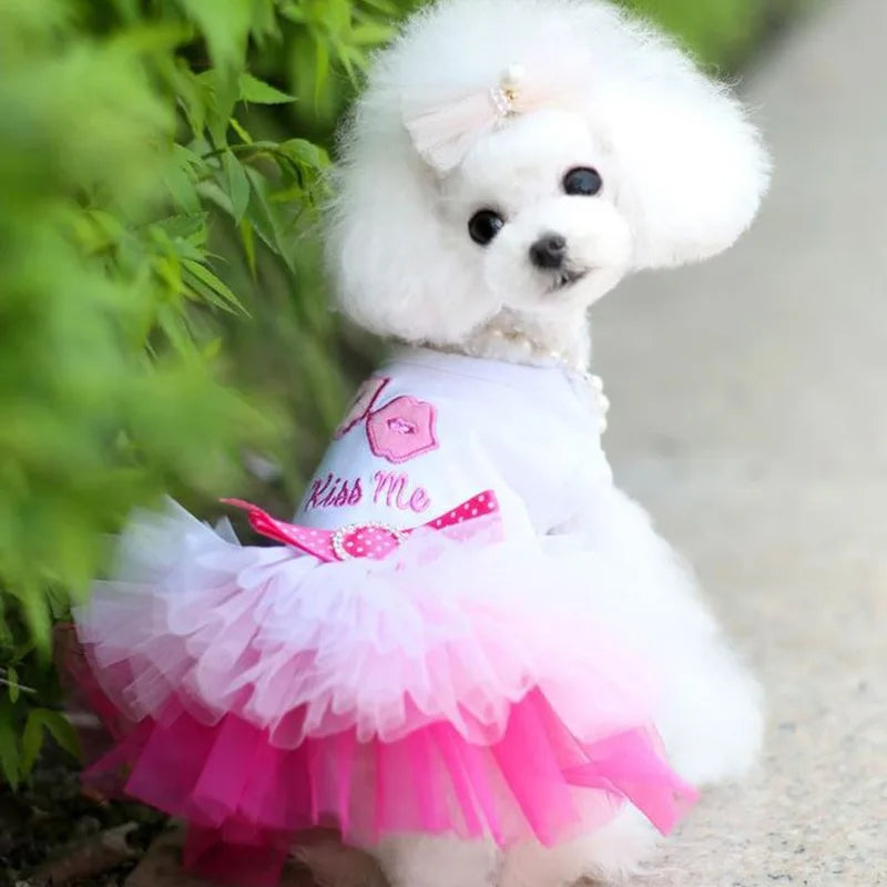 Sweet Princess Dress for Small Dogs, Spring, Autumn, Summer Dog Lace Tutu Dress
