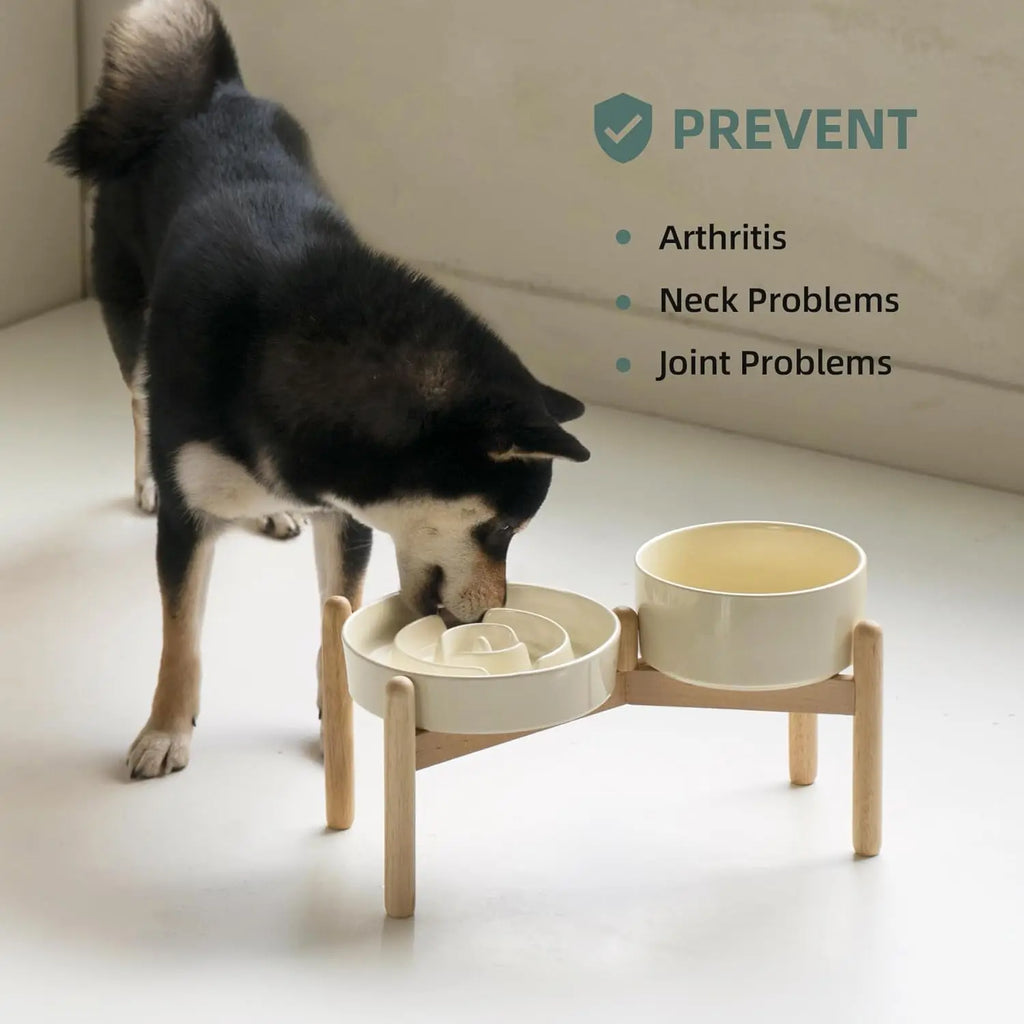 Ceramic, Raised, Slow Feeder Bowl, Wooden Stand, Medium and Small Dogs, Anti-Gulping